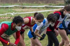 CdS Cross 2022 - I° fase - Sinalunga-  foto ©Andrea Bruschettini